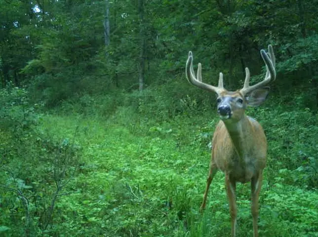 32974 Potter Lane, Muscoda, WI 53573 - Image #1