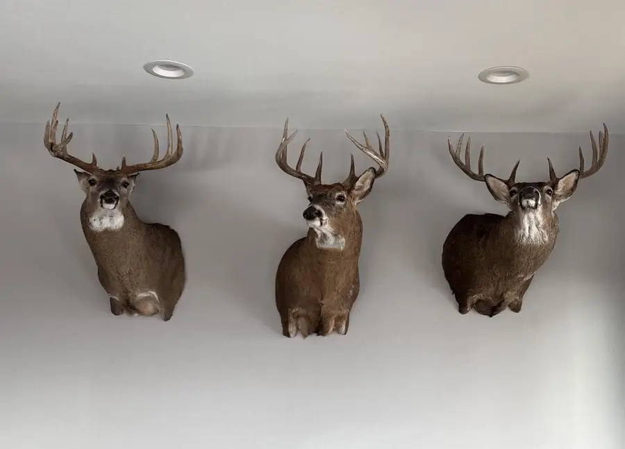 32974 Potter Lane, Muscoda, WI 53573 - Image #2