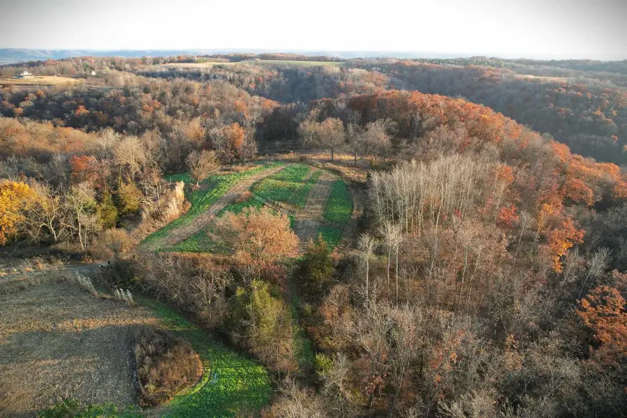 32974 Potter Lane, Muscoda, WI 53573 - Image #3