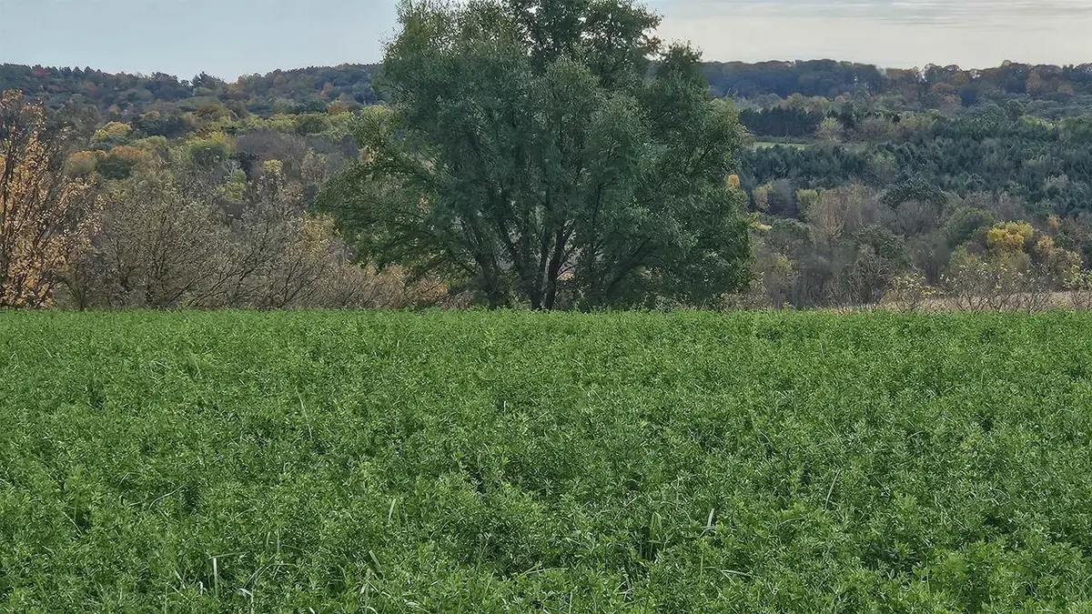 5 acres La Valle Road, La Valle, WI 53941 - Image #1