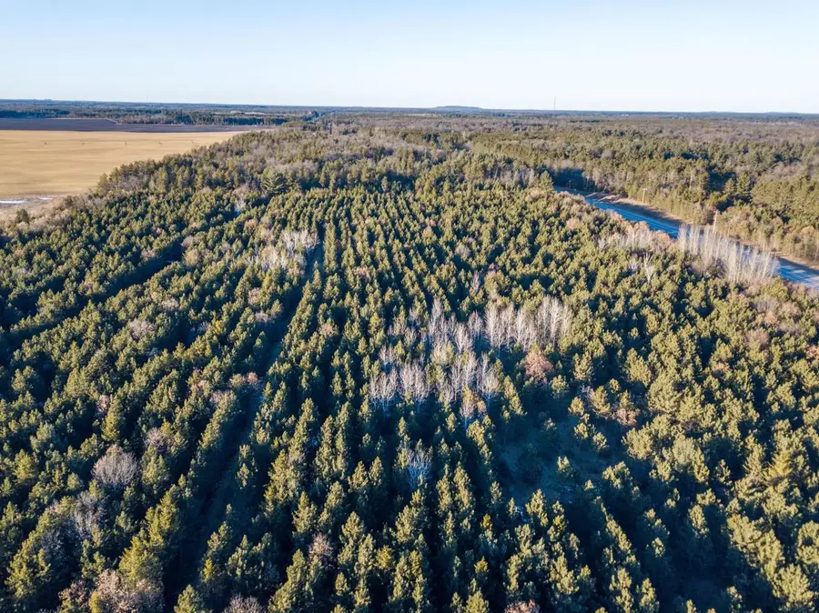 Lot 5 11th Drive, Friendship, WI 53934 - Image #2