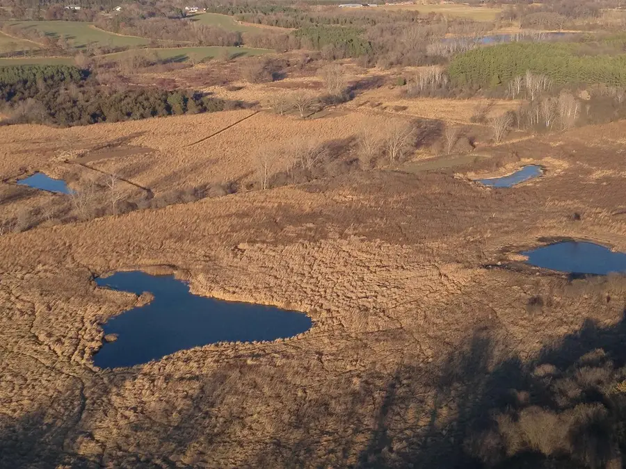 92+/- acres State Road 49 Acres, Green Lake, WI 54941 - Image #2