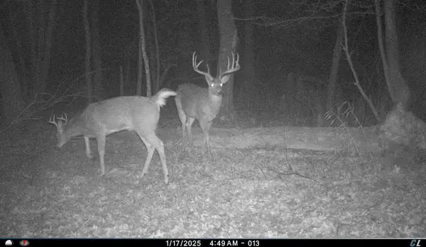 N8510 Fish Road, New Lisbon, WI 53950