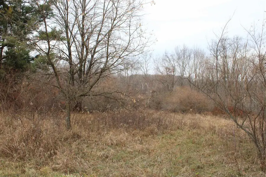 Lot 40 Dutch Hollow Drive, La Valle, WI 53941 - Image #3