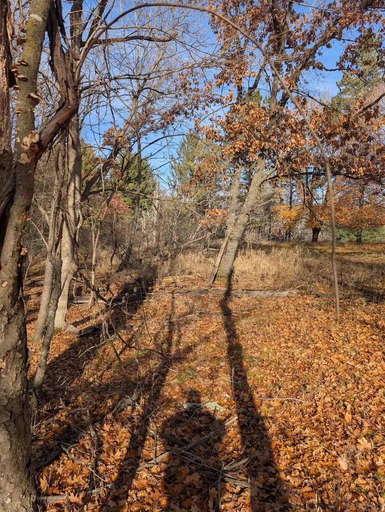 L221 Black Forest Drive, La Valle, WI 53941 - #3