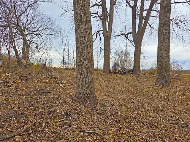 4461 County Road D Road, Platteville, WI 53818 - Image #3