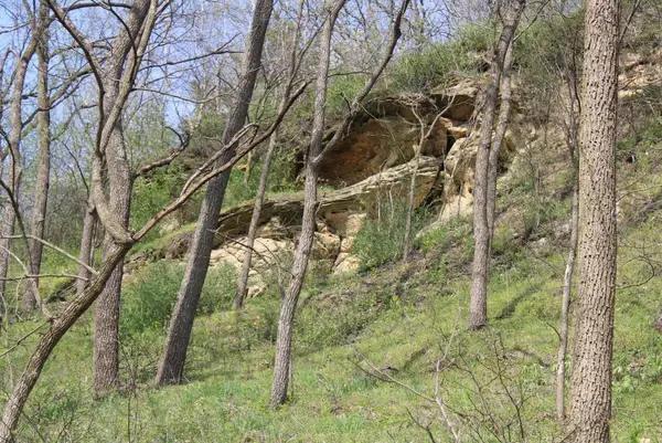 138 Peerless Road, New Glarus, WI 53574