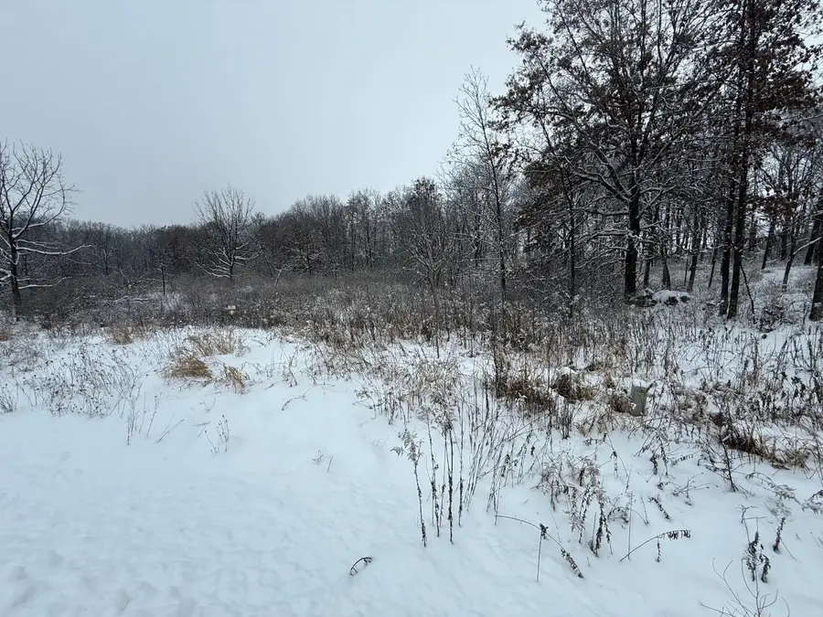 L7 Fawn Meadow Lane, Verona, WI 53593 - Image #3