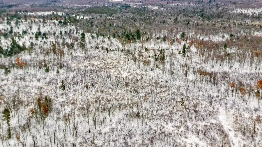 000 County Rd A Road, Grand Marsh, WI 53936 - #2