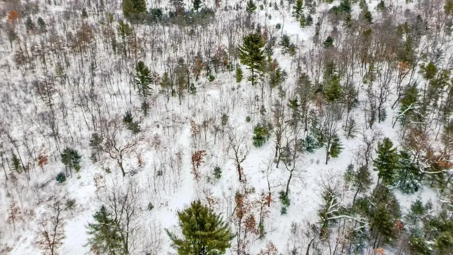 000 County Rd A Road, Grand Marsh, WI 53936 - #3