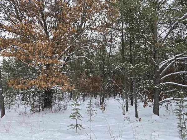 Parcel 12 17th Avenue, Necedah, WI 54646