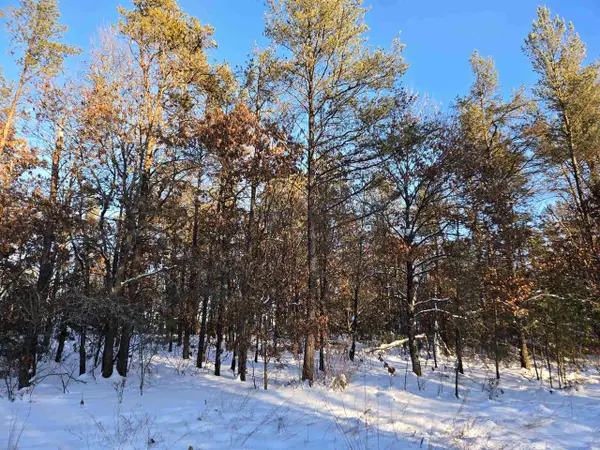Lot 1 25th Street, Necedah, WI 54646
