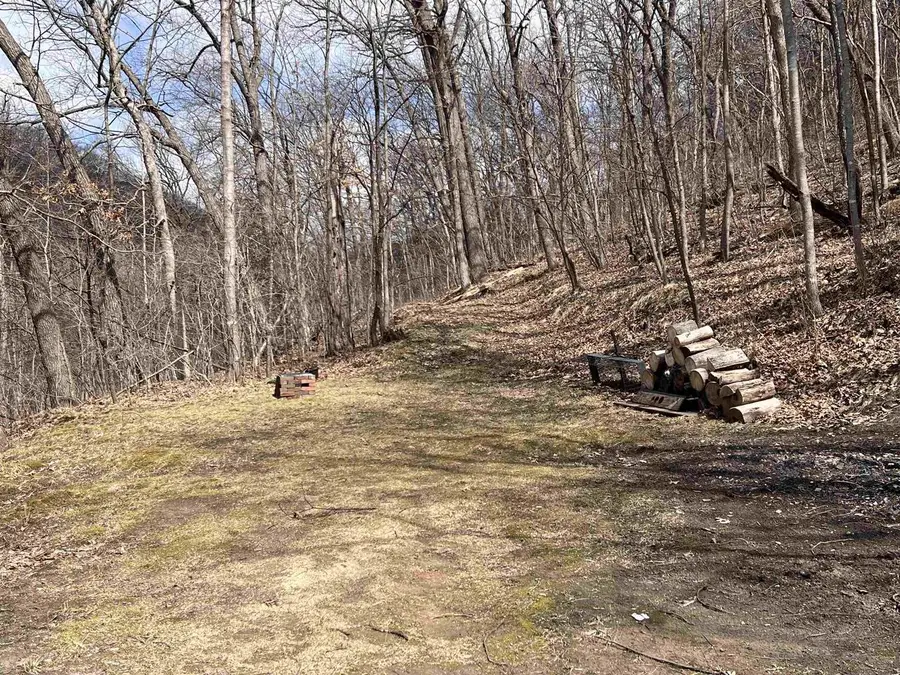 14.2 Acres Will Kumlin Road, De Soto, WI 54624 - Image #3