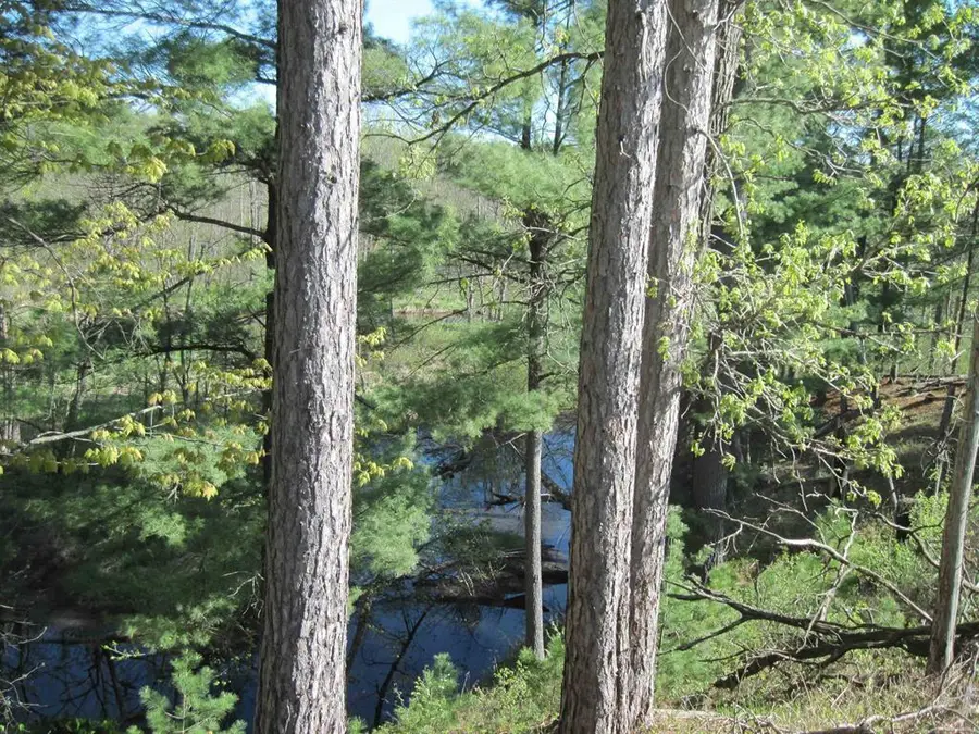 1017 9th Avenue, Hancock, WI 54943 - #3