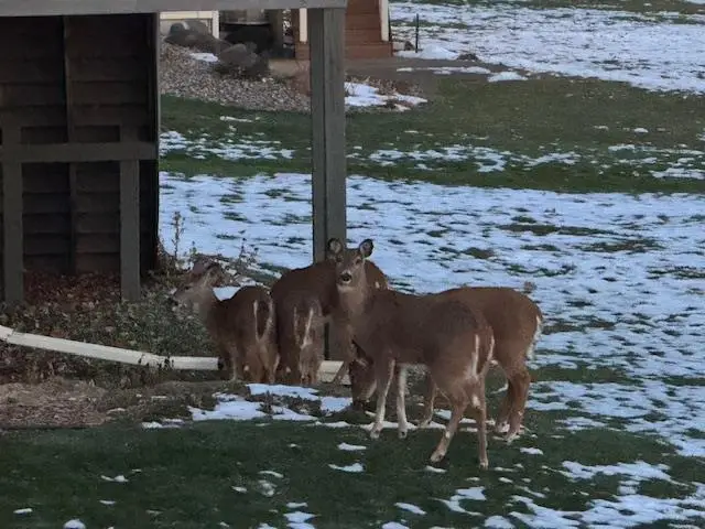 2112 Kilkenny Trail, Waunakee, WI 53597 - Image #3