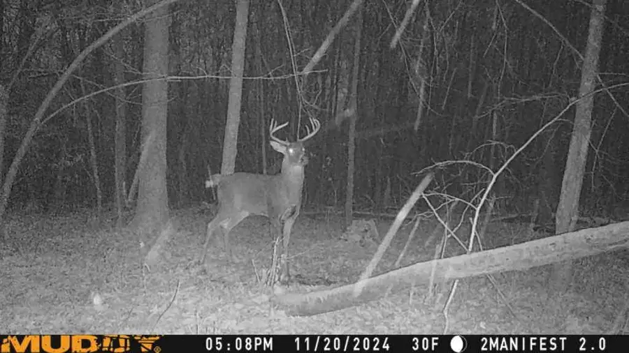 W9162 570th Avenue, Ellsworth, WI 54011 - Image #2