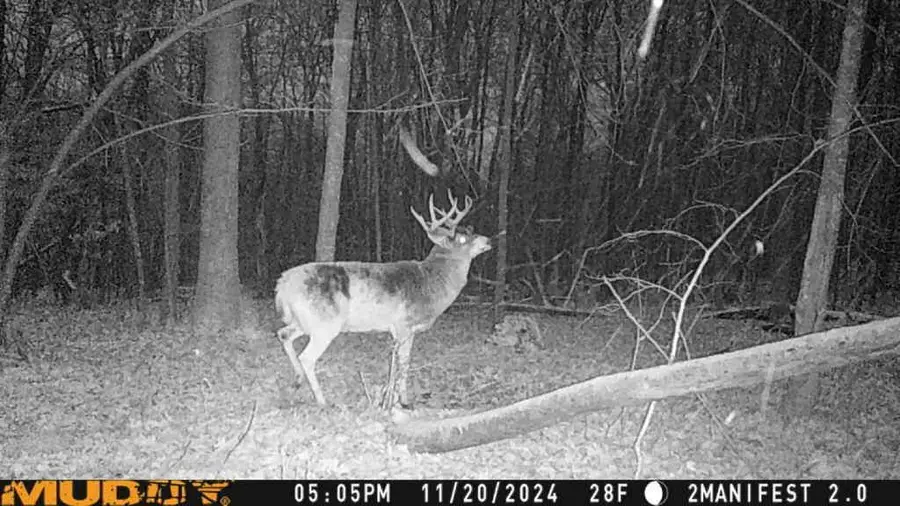 W9162 570th Avenue, Ellsworth, WI 54011 - Image #3