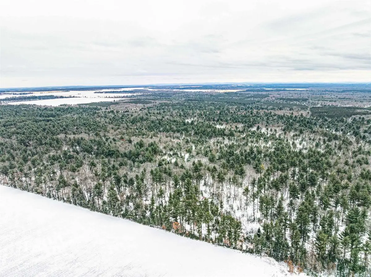 42.5AC Freedom Avenue, Wisconsin Dells, WI 53965 - #1