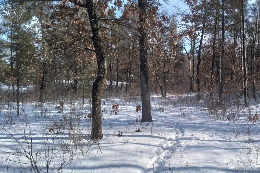 478 13th Avenue, Nekoosa, WI 54457 - #3