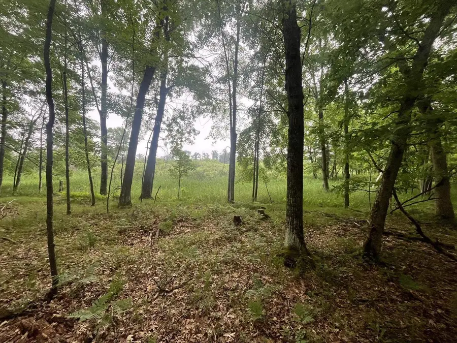 17.89 Acres Chicago Avenue, Coloma, WI 54930 - #2