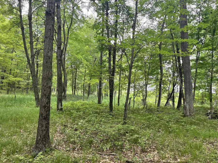 17.89 Acres Chicago Avenue, Coloma, WI 54930 - #3