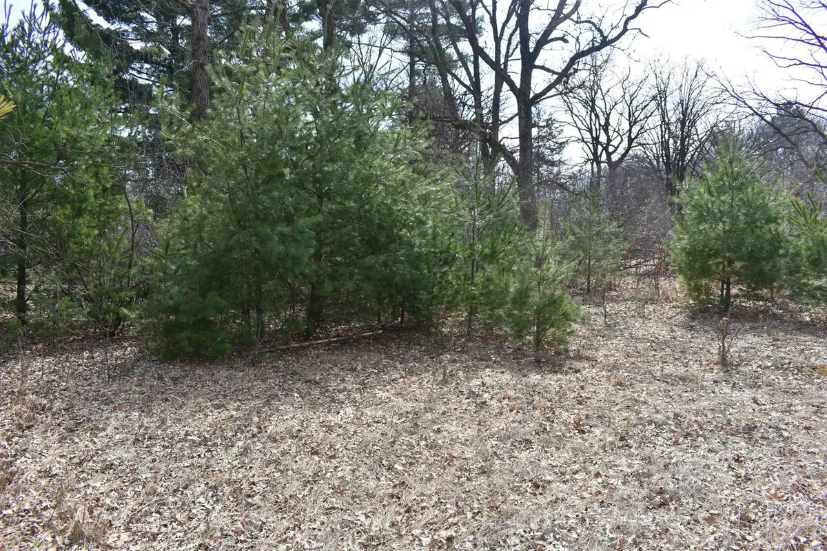 9464 Hollywood Road, Nekoosa, WI 54457 - #1