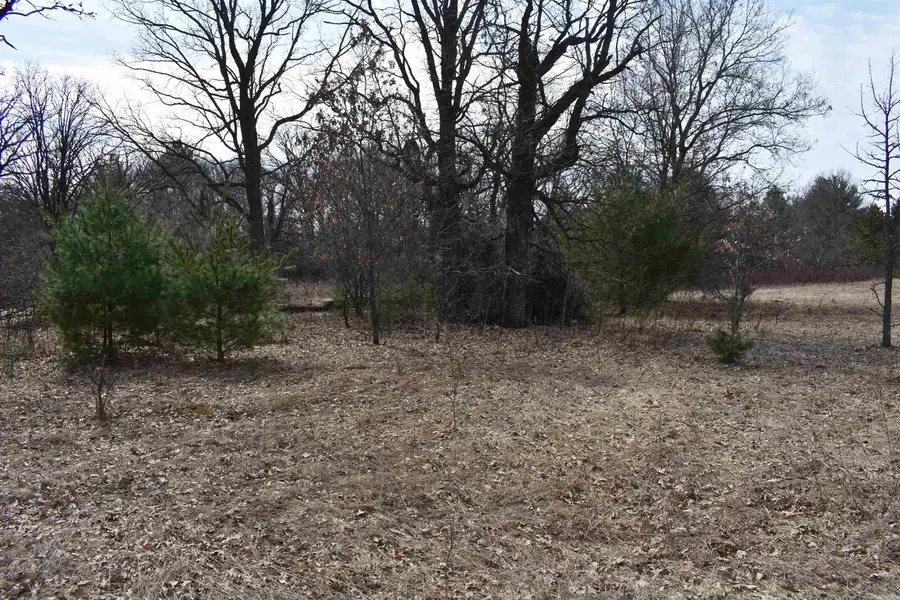9464 Hollywood Road, Nekoosa, WI 54457 - #2