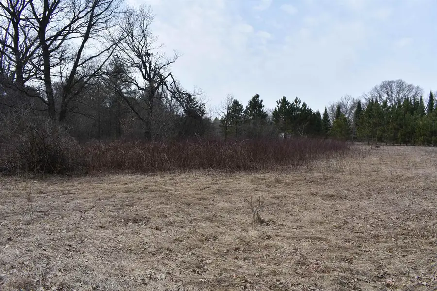 9464 Hollywood Road, Nekoosa, WI 54457 - #3