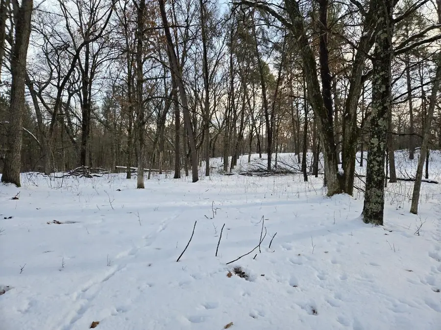 322 Big Sky Trail, Nekoosa, WI 54457 - Image #2