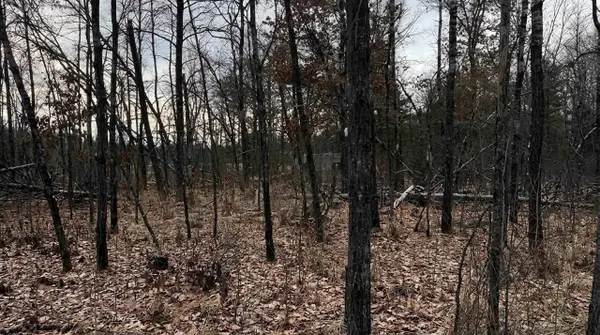 1.50 Acres Retirement Lane, Necedah, WI 54646