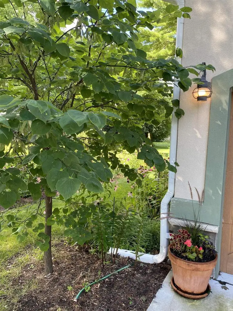 214 Johnson Street, Cambridge, WI 53523 - #3