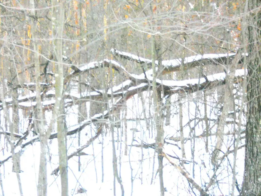 1.34 AC Czech Drive, Friendship, WI 53934 - Image #2