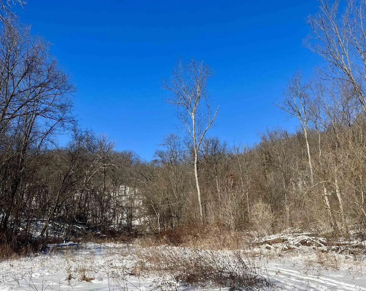 49480 Iris Drive, Gays Mills, WI 54631 - Image #1