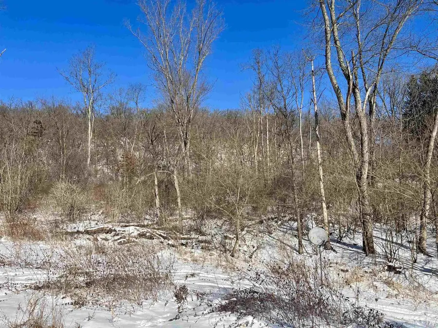 49480 Iris Drive, Gays Mills, WI 54631 - Image #3