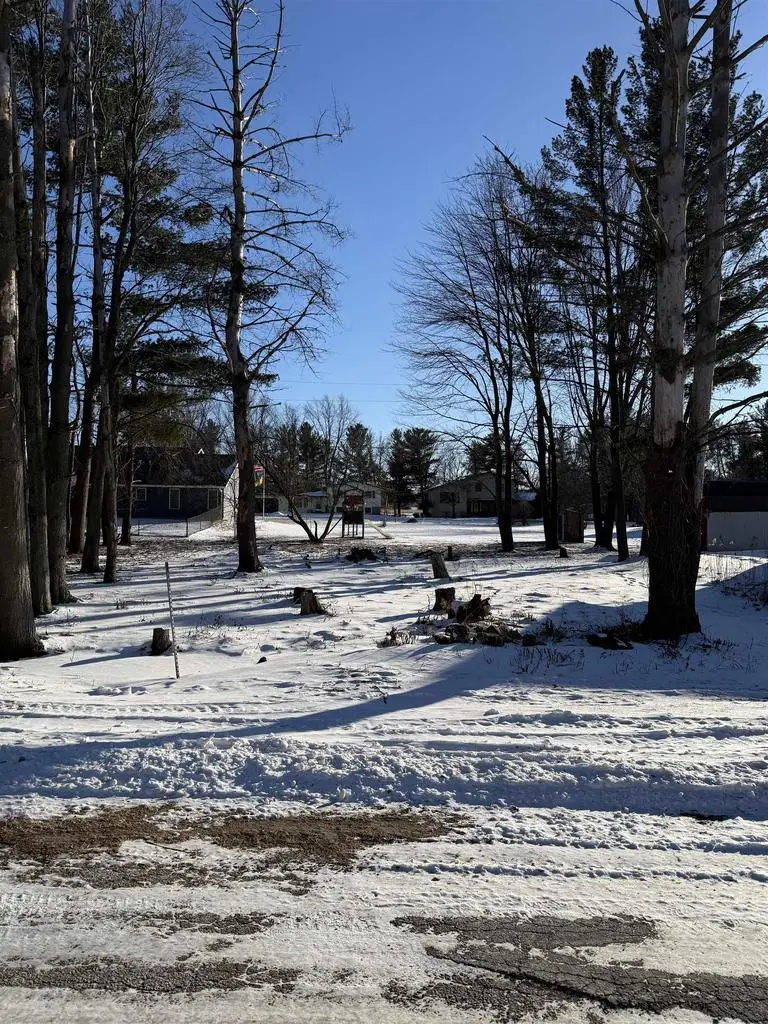 00 Schaller Street, Tomah, WI 54660 - Image #3