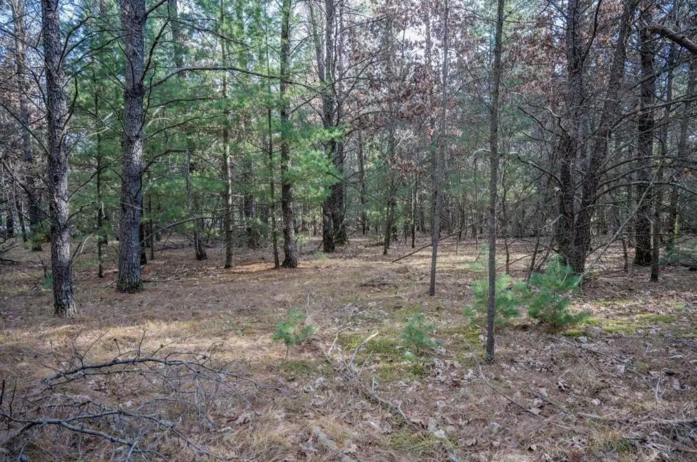 Lot 3 Meadow Drive, New Lisbon, WI 53950 - #1
