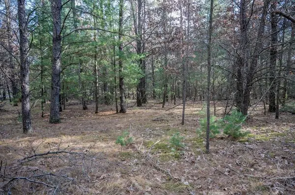 Lot 3 Meadow Drive, New Lisbon, WI 53950