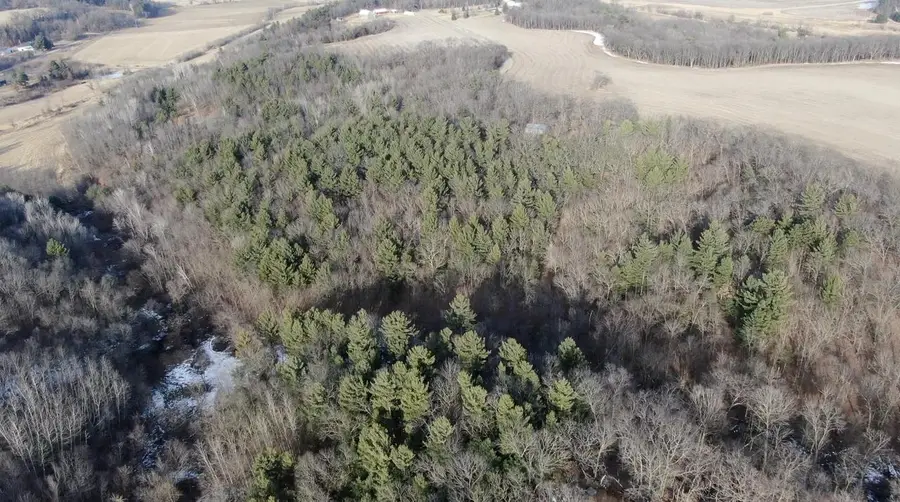 W7113 Leigh Road, Mauston, WI 53948 - #2