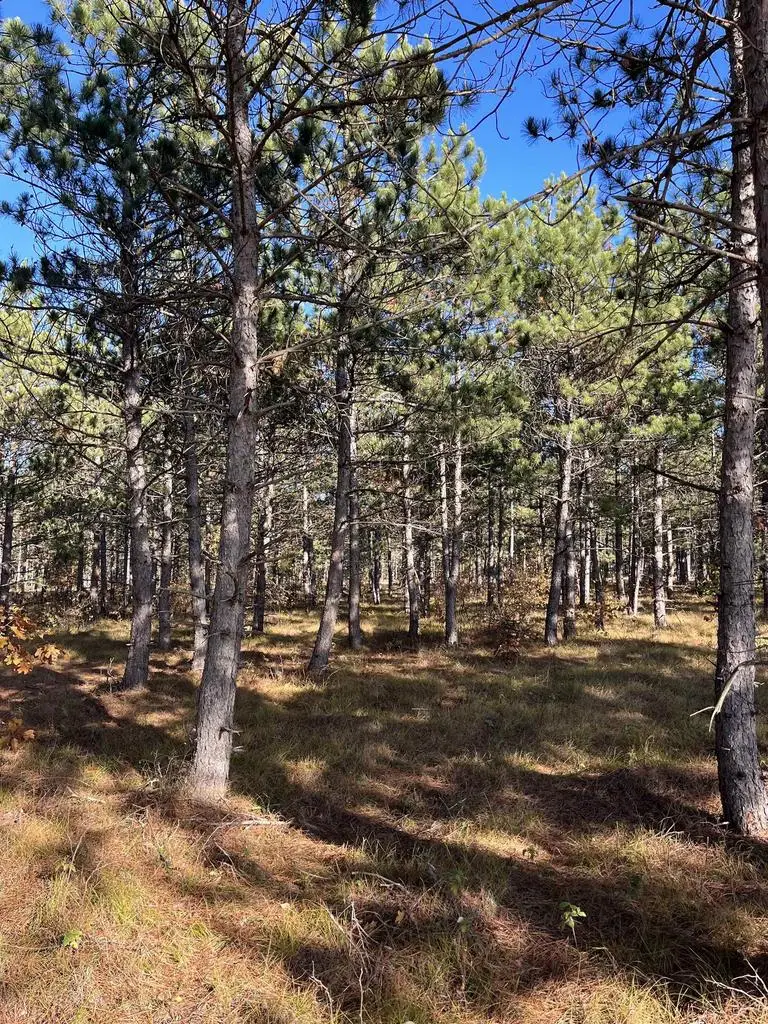 Lot 4 Luna Lane, Nekoosa, WI 54457 - #3
