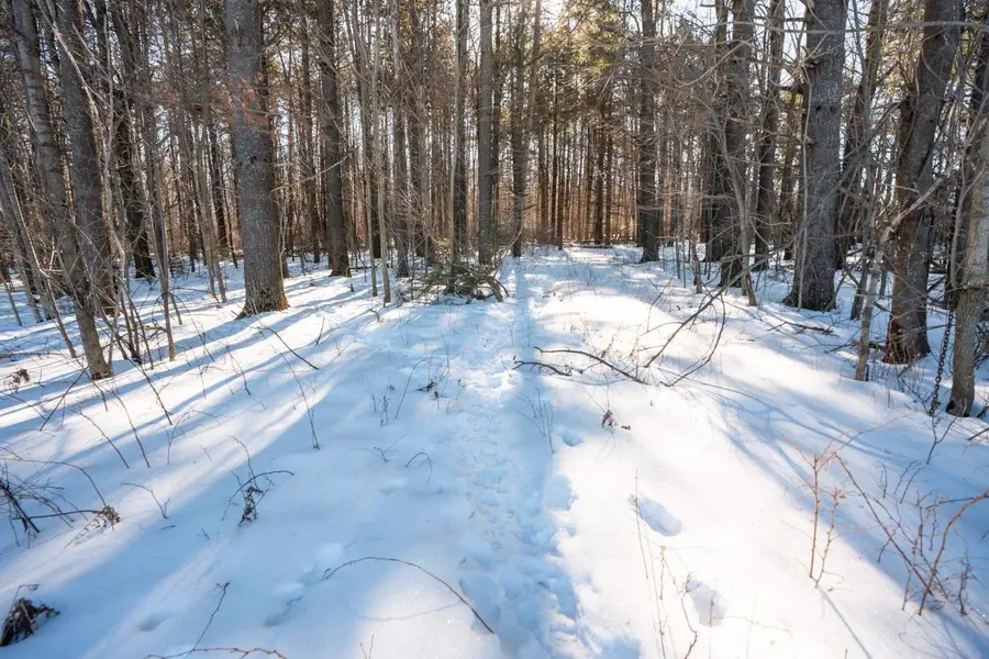 0 County Road FF Road, Merrill, WI 54452 - #2