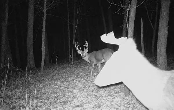 W7113 Leigh Road, Mauston, WI 53948