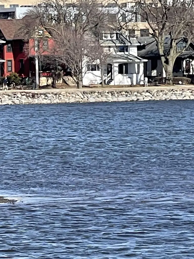 135 S BRITTINGHAM Place, Madison, WI 53715 - #1