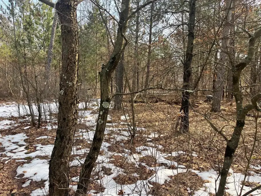 779 Fiesta Drive, Nekoosa, WI 54457 - #3