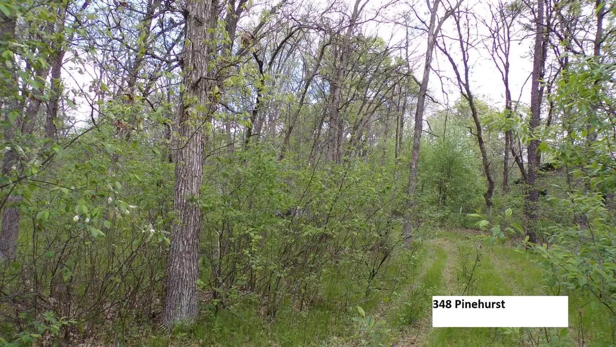 349 Pinehurst Drive, Nekoosa, WI 54457 - #1