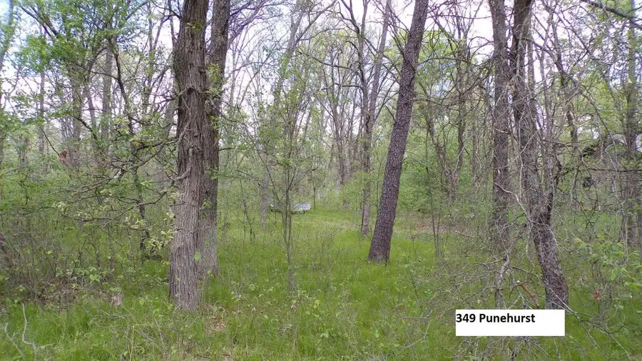 349 Pinehurst Drive, Nekoosa, WI 54457 - #2