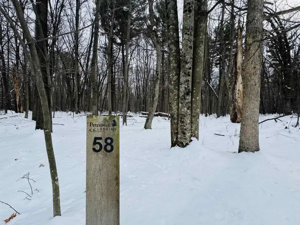 Lot 58 Badger Court, Arkdale, WI 54613