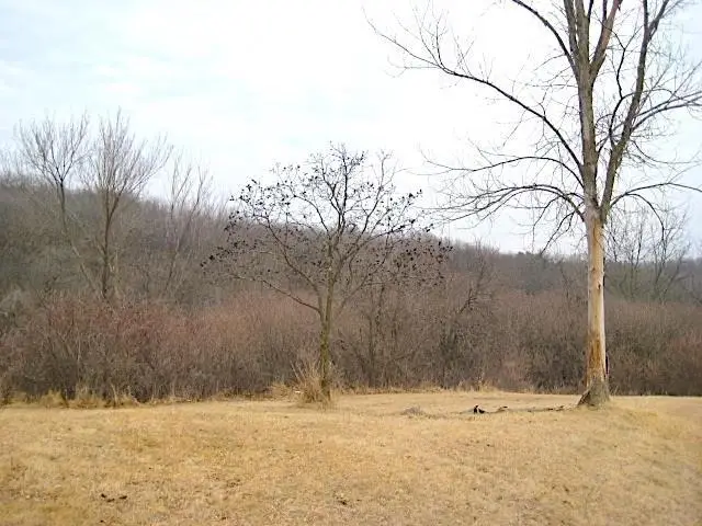 Lot 16 Ohmer Ridge Subdivision, McGregor, IA 52157 - #1