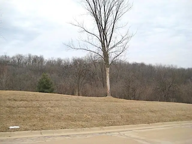 Lot 16 Ohmer Ridge Subdivision, McGregor, IA 52157 - #3