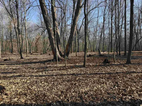 25 Acres Lerch Road, Arlington, WI 53911