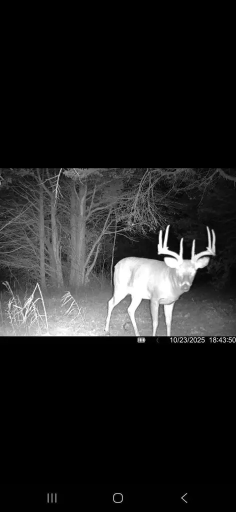 00 County Road J Road, Princeton, WI 54968 - #2